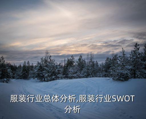 女性服装行业总体分析,服装行业SWOT分析