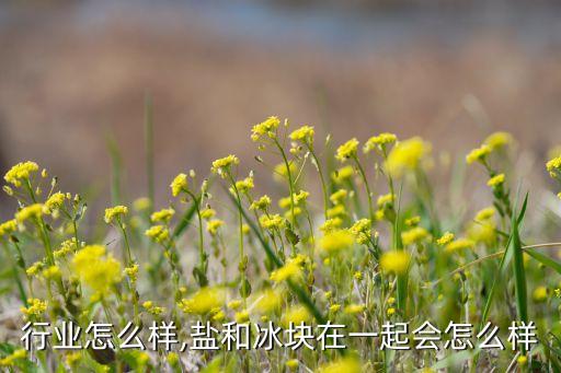 冰块行业怎么样,盐和冰块在一起会怎么样