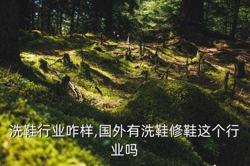 修鞋洗鞋行业咋样,国外有洗鞋修鞋这个行业吗