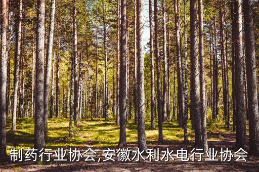 安徽制药行业协会,安徽水利水电行业协会