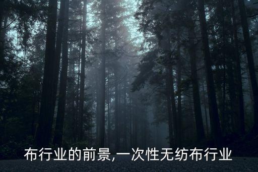 无纺布行业的前景,一次性无纺布行业