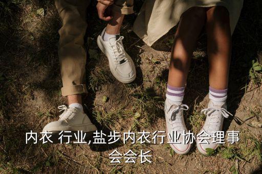 盐步 内衣 行业,盐步内衣行业协会理事会会长