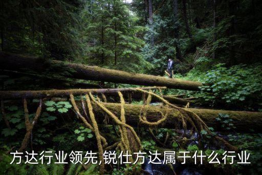 ?[方达行业领先,锐仕方达属于什么行业