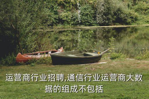 通信运营商行业招聘,通信行业运营商大数据的组成不包括