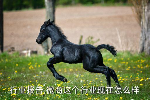 微商行业报告,微商这个行业现在怎么样