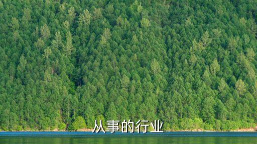 期望从事的行业