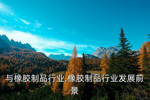 塑料与橡胶制品行业,橡胶制品行业发展前景