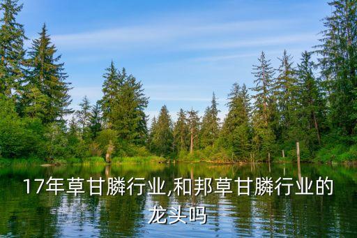 2017年草甘膦行业,和邦草甘膦行业的龙头吗