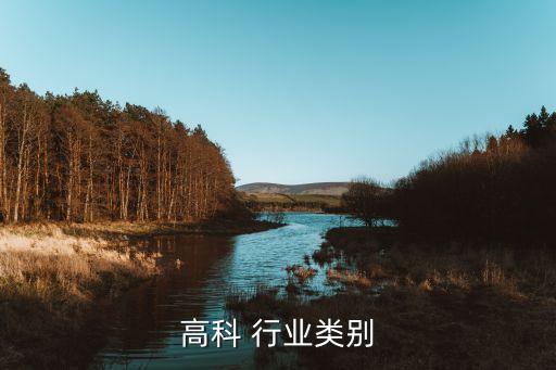 复星高科 行业类别