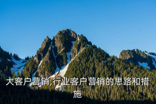 行业大客户营销,行业客户营销的思路和措施