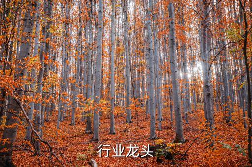 胶水行业龙头
