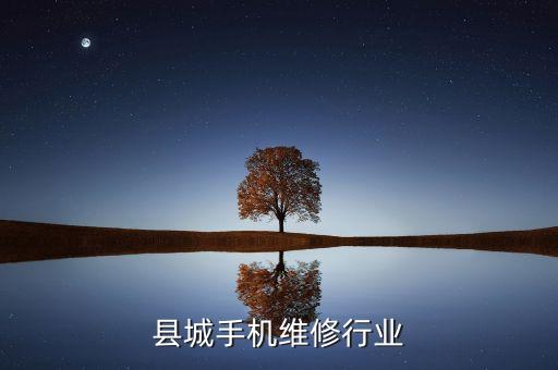 广灵县城手机维修行业
