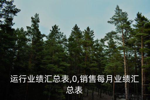 企业运行业绩汇总表,0,销售每月业绩汇总表