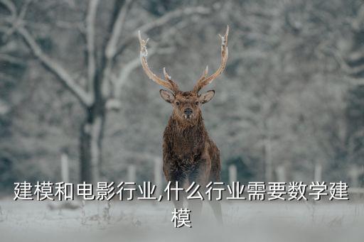数学建模和电影行业,什么行业需要数学建模