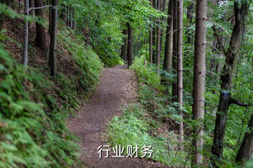 典当行业财务