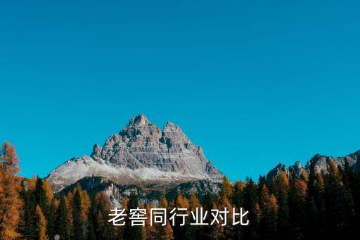 泸州老窖同行业对比