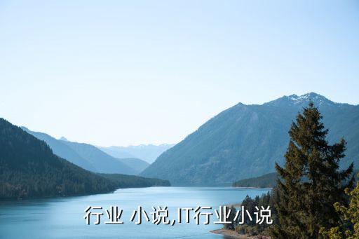 it行业 小说,IT行业小说