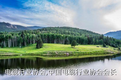 物探电缆行业协会,中国电缆行业协会会长
