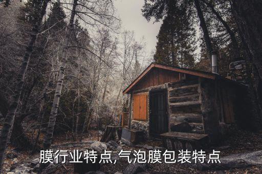 包装膜行业特点,气泡膜包装特点