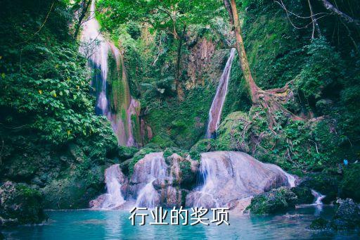 美容行业的奖项