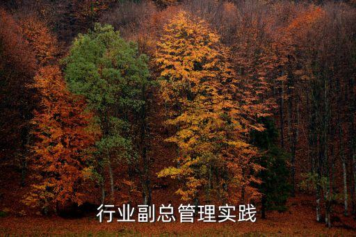 汽配行业副总管理实践