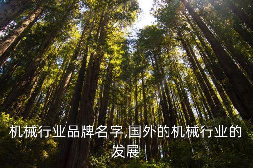 国外机械行业品牌名字,国外的机械行业的发展