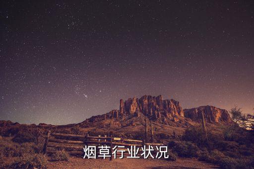 中国烟草行业状况