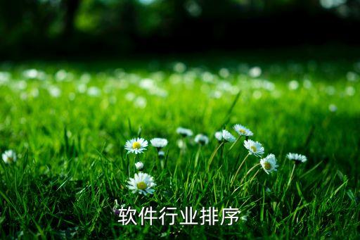 中国软件行业排序