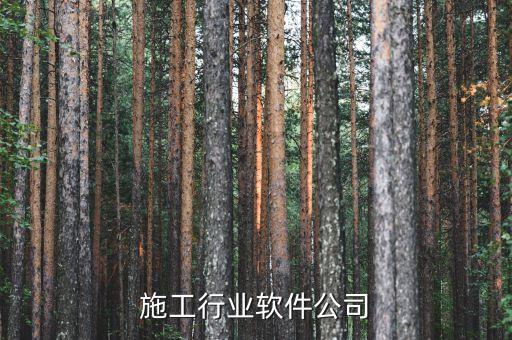 建筑施工行业软件公司