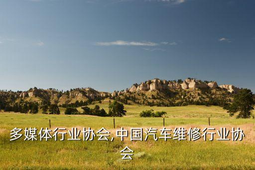 汽车多媒体行业协会,中国汽车维修行业协会