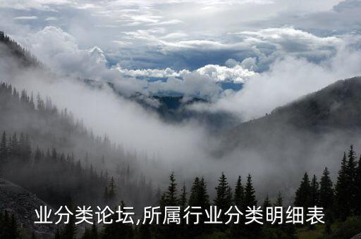 按行业分类论坛,所属行业分类明细表