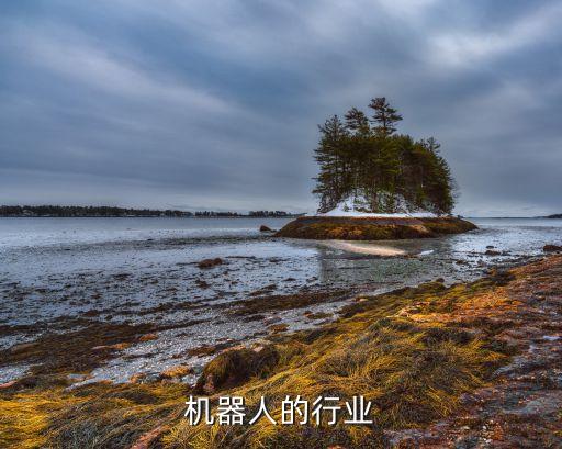 乐高机器人的行业