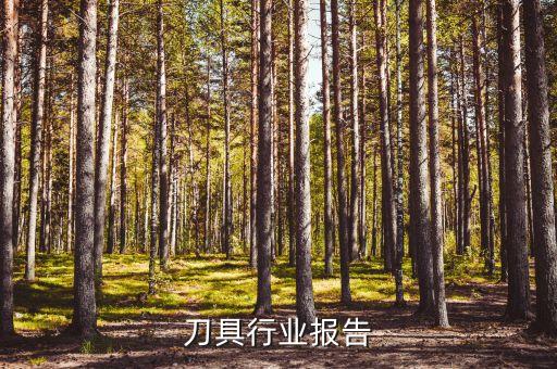 切削刀具行业报告