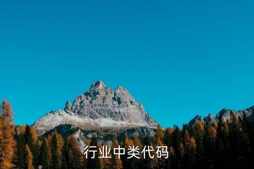 丙烯行业中类代码