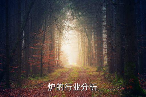 微波炉的行业分析