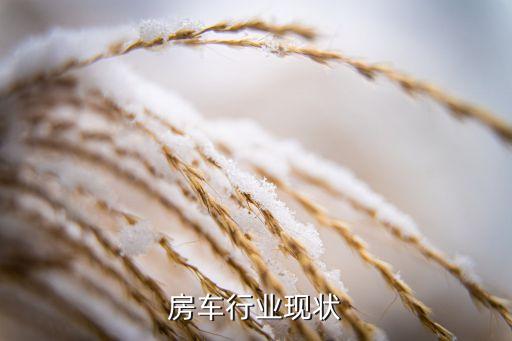 中国房车行业现状