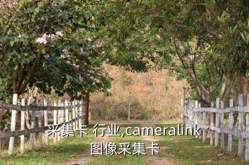 图像采集卡 行业,cameralink图像采集卡