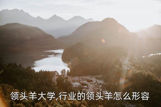 行业领头羊大学,行业的领头羊怎么形容