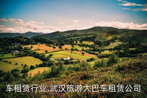 大巴车租赁行业,武汉旅游大巴车租赁公司