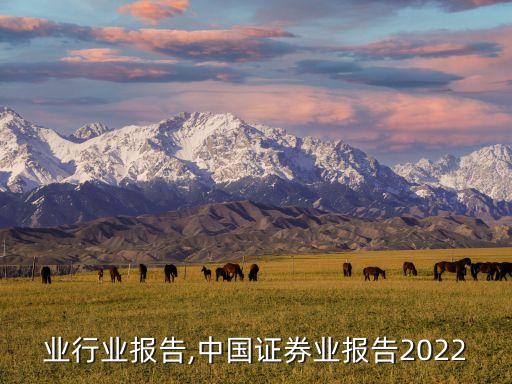 证券业行业报告,中国证券业报告2022