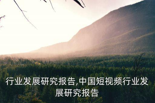 参茸行业发展研究报告,中国短视频行业发展研究报告