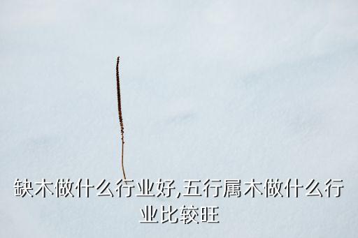 五行缺木做什么行业好,五行属木做什么行业比较旺