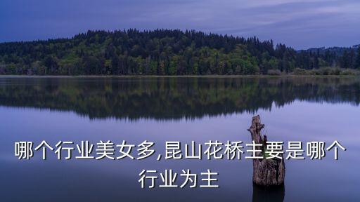 昆山哪个行业美女多,昆山花桥主要是哪个行业为主