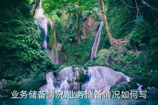 支行业务储备情况,业务储备情况如何写