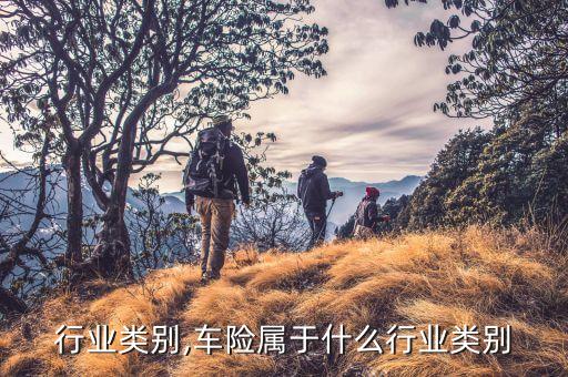 车险行业类别,车险属于什么行业类别