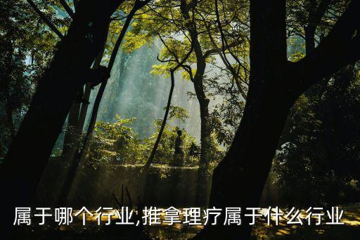 推拿属于哪个行业,推拿理疗属于什么行业