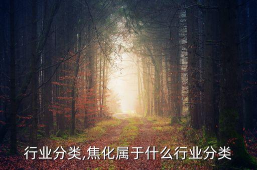 焦化行业分类,焦化属于什么行业分类