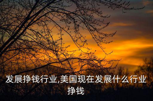 跟踪发展挣钱行业,美国现在发展什么行业挣钱