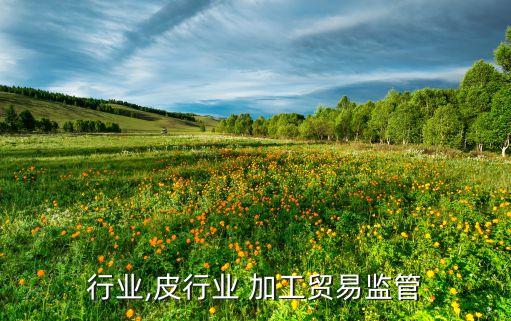 pi行业,皮行业 加工贸易监管