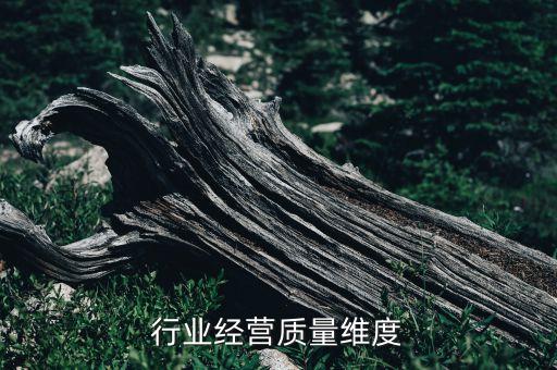 服装行业经营质量维度